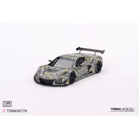 Chevrolet Corvette C8 Z06 GT3R Sebring Test Car 2023 Truescale TSM430776