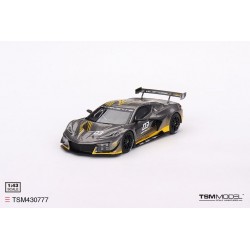 Chevrolet Corvette C8 Z06 GT3R Daytona Presentation 2023 Truescale TSM430777