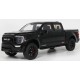 Shelby&nbsp;F-150 Pick-up Centennial Edition 2024 Black GT Spirit GT919