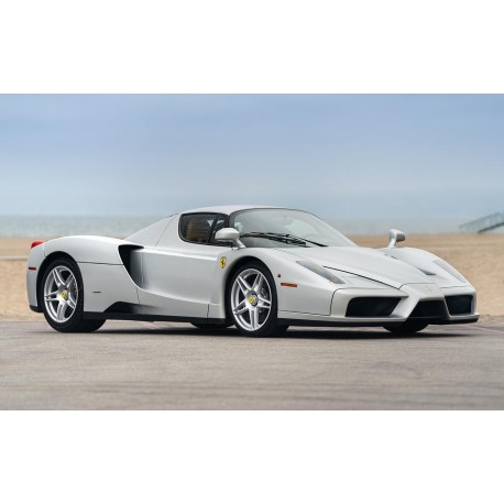 Ferrari Enzo 2003 Argento Nurburgring Looksmart LS558C