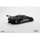 Chevrolet Corvette Z06 GT3.R Test car Road America 2023 Truescale TS0542