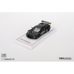 Chevrolet Corvette Z06 GT3.R Test car Road America 2023 Truescale TSM430778