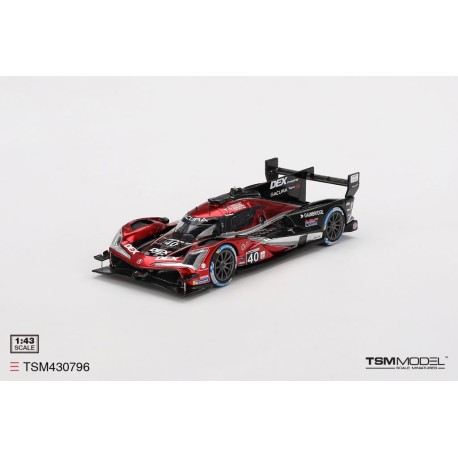 Acura ARX-06 GTP 40 3rd 24 Heures de Daytona 2024 Truescale TSM430796