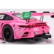 Porsche 911 992 GT3R 80 Michelin GT Challenge 2023 P.J. Hyett Truescale TS0589
