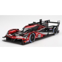 Acura ARX-06 GTP 40 Winner 12 Heures de Sebring 2024 Truescale TS0592