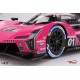 Cadillac V-Series.R 1 Winner Petit Le Mans 2024 Truescale TS0611
