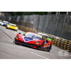 Ferrari 296 GT3 83 Macau GT Cup FIA GT World Cup Antonio Fuoco 2024 Looksmart LS18RC037