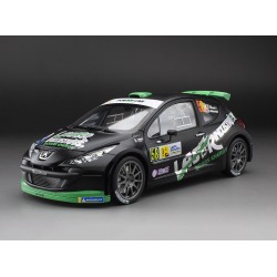 Peugeot 207 S2000 58 Monza Rally Show 2013 C. Breen - S. Marshall Sunstar SUN5441