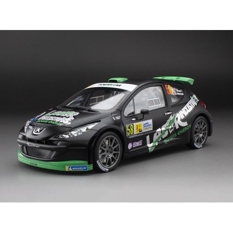 Peugeot 207 S2000 58 Monza Rally Show 2013 C. Breen - S. Marshall Sunstar SUN5441