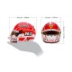 Casque Helmet 1/2 Charles Leclerc F1 2025 Bell