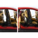 Ferrari&nbsp;Purosangue with Panoramic Roof 2022 Rosso Corsa BBR BBR18053B