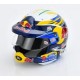 Casque Helmet 1/5 Eoin Treacy Rallye 2025 Spark 5HSP184