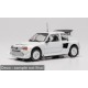 Peugeot 205 Turbo 16V Evo 2 1986 White IXO CLC685NSP