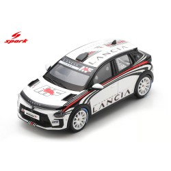 Lancia Ypsilon Rally 4 HF Spark S8990