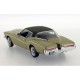 Buick Riviera Coupe 1971 Verte IXO PRD070