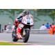 Ducati GP17 45 Scott Redding Moto GP 2017 Spark M43038