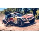 Peugeot 3008 DKR 307 Dakar 2017 Despres Castera Spark S5612