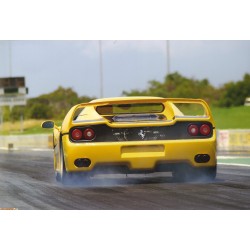Ferrari F50 Jaune 1995 Looksmart LS18FC05B