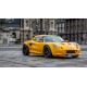 Lotus Elise S1 1996 Jaune Spark S4902
