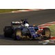 Sauber Ferrari C36 Grand Prix de Chine 2017 Antonio Giovinazzi Minichamps 417170036