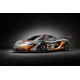 McLaren P1 GTR Concours d'élégance California 2014 Tecnomodel T43EX06B