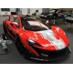 McLaren P1 GTR Rouge - Blanche Tecnomodel T43EX06E