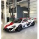 McLaren P1 GTR Race Version Blanche Tecnomodel T43EX06G