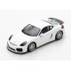 Porsche Cayman GT4 Clubsport 2017 Blanche Spark S5200