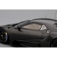 Ford GT LMGTE Test Car 2017 Truescale TS0032