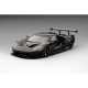 Ford GT LMGTE Test Car 2017 Truescale TS0032