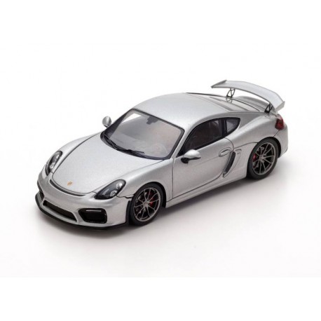 Porsche Cayman GT4 2016 Silver Spark S4941