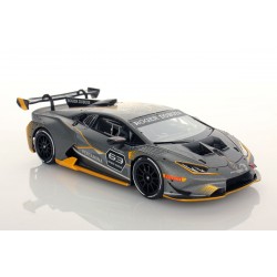 Lamborghini Huracan Super Trofeo Evo Looksmart LS483