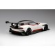 Aston Martin Vulcan White Truescale TS0028