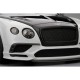 Bentley Continental Supersports Onyx Over Ice Truescale TS0166