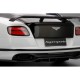 Bentley Continental Supersports Onyx Over Ice Truescale TS0166
