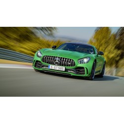 Mercedes AMG GTR Green 2017 Almost Real ALM820706