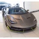 Lamborghini Centario Roadster Special Editions Grigio Titans with Verde Scandal Frames Looksmart LS1209SE5