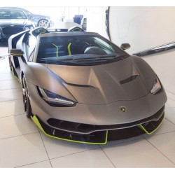 Lamborghini Centario Roadster Special Editions Grigio Titans with Verde Scandal Frames Looksmart LS1209SE5