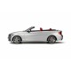 BMW M235i Cabrio Glacier Silver GT Spirit GT102