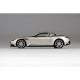 Aston Martin DB11 Lightning Silver Truescale TS0126