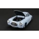 Mercedes-Benz 300SL 20 Grand Prix de Berne 1952 Hermann Lang CMC CMC159