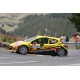 Peugeot 207 S2000 5 Tour de Corse 2011 Neuville Gilsoul Sunstar SUN5440
