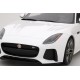 Jaguar F-Type SVR Glacier White Truescale TS0042