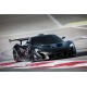 McLaren P1 GTR Absdolutely Unique Track Livery 90 Almost Real ALM840111