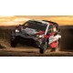 Toyota Yaris WRC 8 Winner Rallye d'Argentine 2018 Tanak Jarveoja Spark S5971