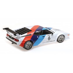 BMW M1 Procar 6 Procar Series 1979 Nelson Piquet Minichamps 125792906
