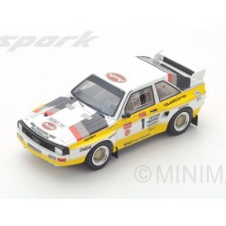 Audi Quattro 1 Winner Pikes Peak 1985 Michèle Mouton Spark S43PP85
