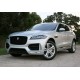 Jaguar F-Pace Roghium Silver Truescale TSM181021