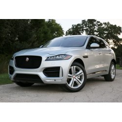 Jaguar F-Pace Roghium Silver Truescale TSM181021