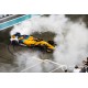 McLaren Renault MCL33 14 F1 Abu Dhabi 2018 Last Race Fernando Alonso Spark S6069